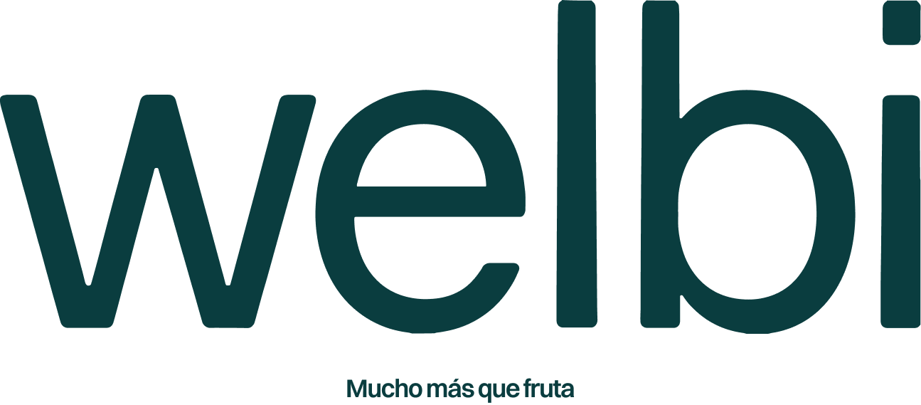 Welbi logo